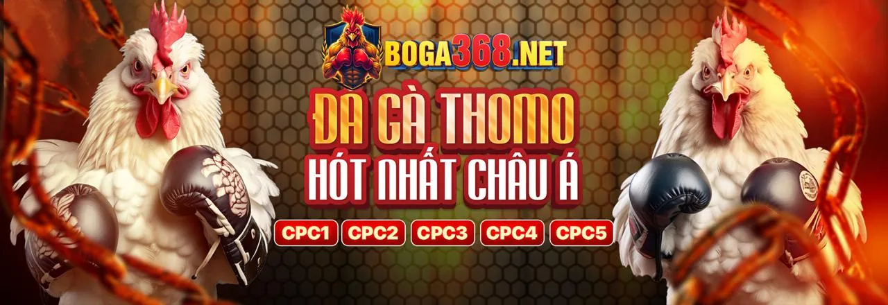 Sự kiện thể thao 55win55 nhà cái
