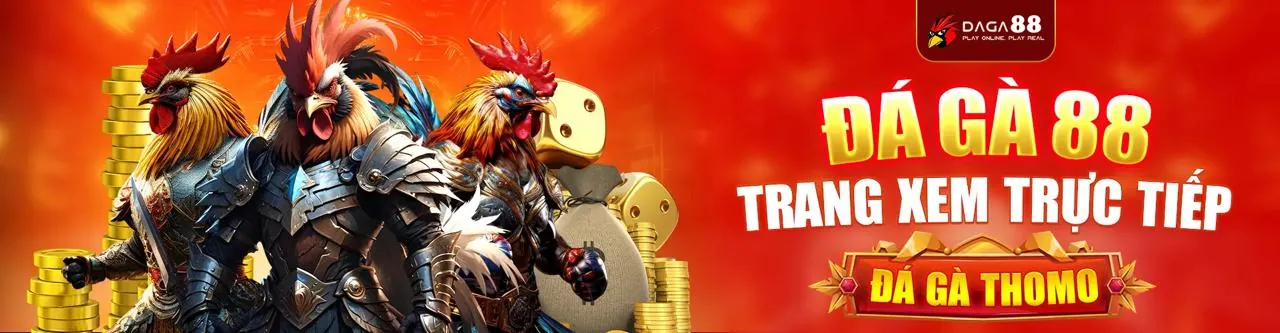 Đá Gà Trực Tuyến Hấp Dẫn tại 55win55 nhà cái